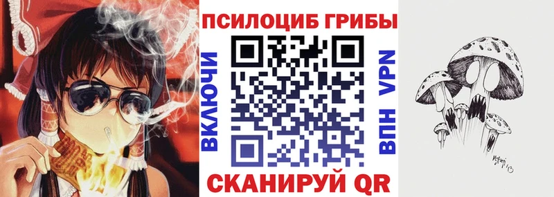 Псилоцибиновые грибы мицелий  магазин    кракен зеркало  Кизилюрт 